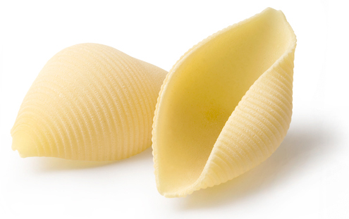 00002 - Conchiglioni